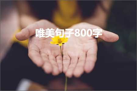 唯美句子800字（文案288条）