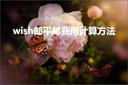 璺ㄥ鐢靛晢鐭ヨ瘑:wish閭钩閭垂鐢ㄨ绠楁柟娉? width=