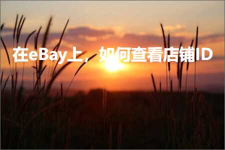 跨境电商知识:在eBay上，如何查看店铺ID