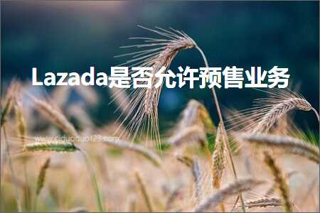 璺ㄥ鐢靛晢鐭ヨ瘑:Lazada鏄惁鍏佽棰勫敭涓氬姟