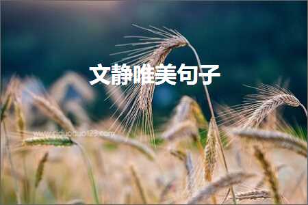 鍒嗘墜瑕佹灉鏂殑鍞編鍙ュ瓙锛堟枃妗?38鏉★級