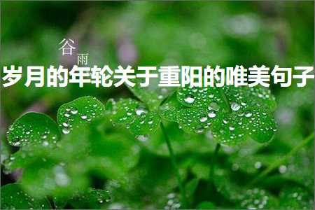 鎻忓啓鑰佹灋姘翠粰鐨勫敮缇庡彞瀛愶紙鏂囨257鏉★級